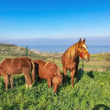 Panoramica Sul Mare Valderice