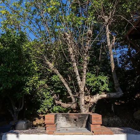 Panoramica Sul Mare