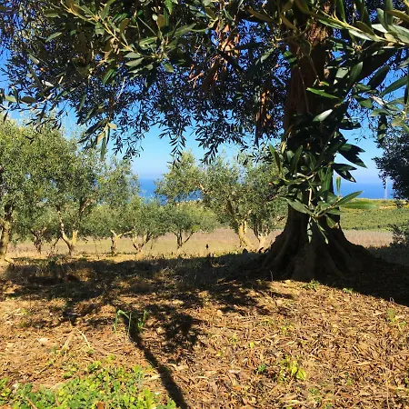 Panoramica Sul Mare Apartment Valderice